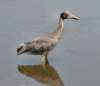 aheron108_small.jpg