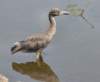 aheron109_small.jpg