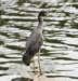 aheron120_small.jpg