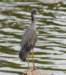 aheron122_small.jpg