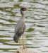 aheron124_small.jpg