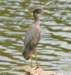 aheron131_small.jpg
