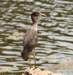 aheron132_small.jpg