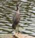 aheron133_small.jpg