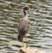 aheron134_small.jpg