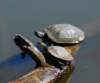 aturts89 aturts89_small.jpg