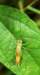 ahopper26_small.jpg