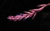bromeliad14_small.jpg
