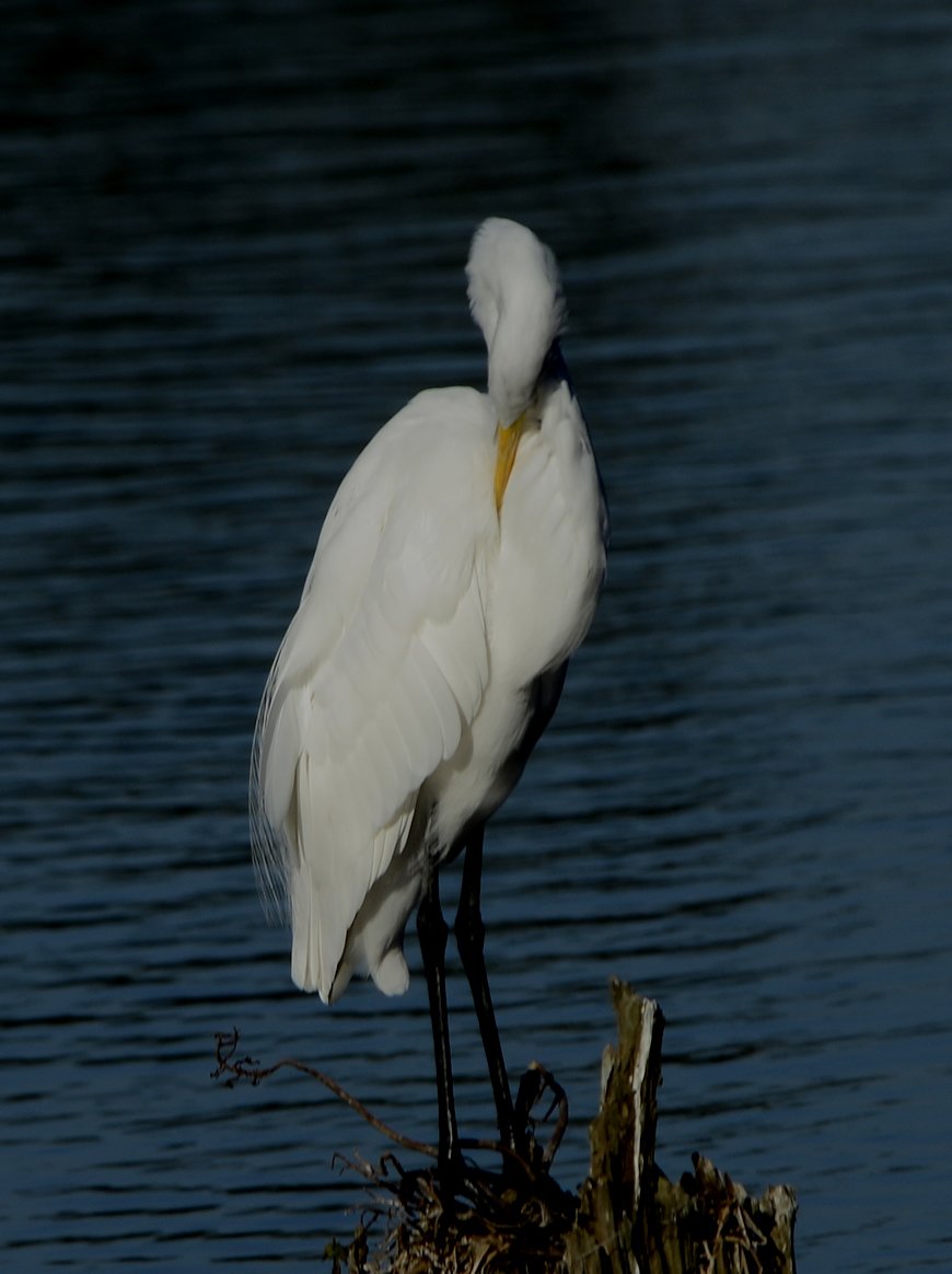 greategret.jpg