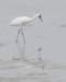 dsc_0079_small.jpg