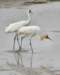 dsc_0182_small.jpg
