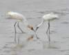 dsc_0183_small.jpg